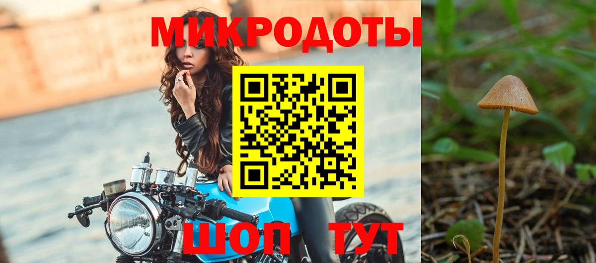 Семёнов  Галлюциногенные грибы Psilocybine cubensis  Вход с VPN 
